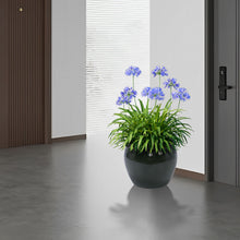Load image into Gallery viewer, 3 Pieces Ceramic Flowerpot, Planter For Patio, Garden Or Windowsills
