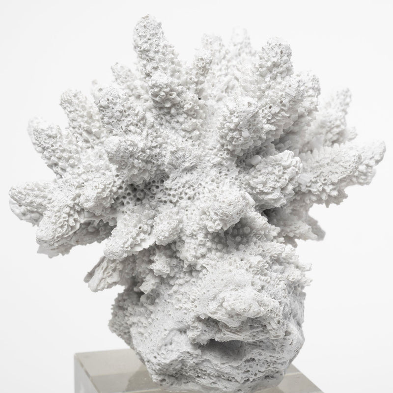 Tabletop Sculpture (392434) - White