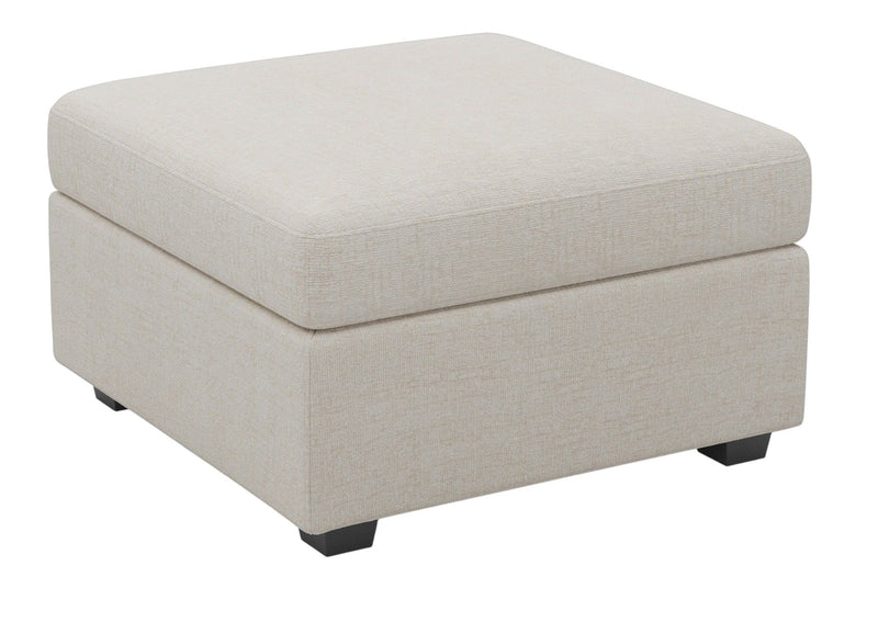 30" Chenille Storage Ottoman - Beige / Black
