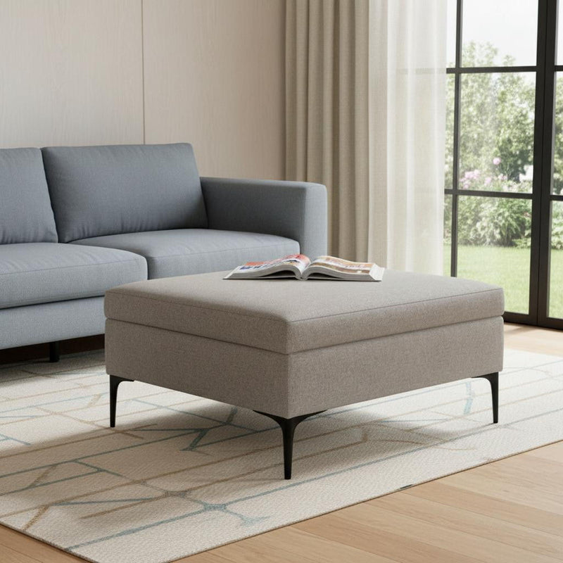 Storage Ottoman - Black / Cloud