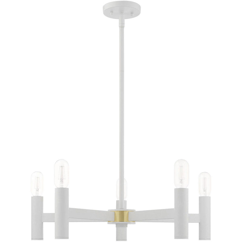 19'' Five Light Dimmable Chandelier With Shades - White
