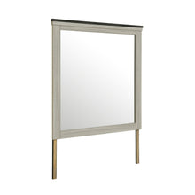 Load image into Gallery viewer, Augusta - Mirror With Sleek Frame, Large Scale Mirror For Dresser - Beige Brown
