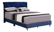 Load image into Gallery viewer, Elegant Transitional Upholstered Bed
