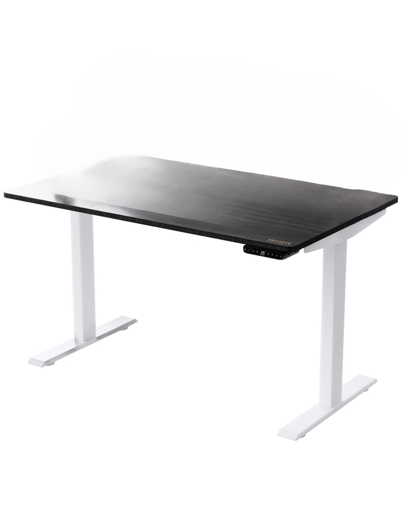 Adjustable Stainless Steel Computer Desk - Black And White