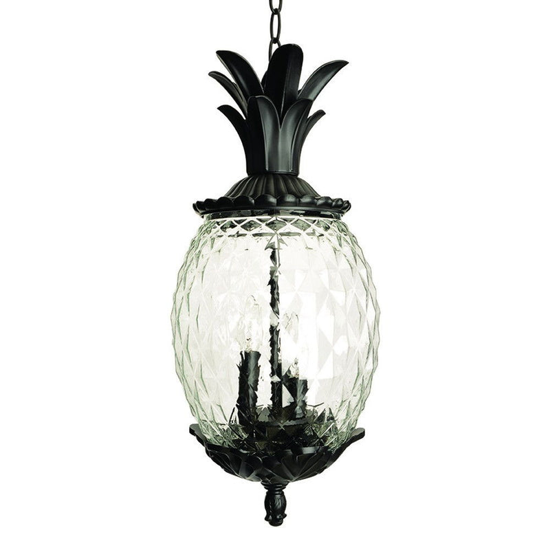 Lanai 3-Light Coral Hanging Light - Black