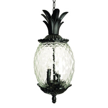 Load image into Gallery viewer, Lanai 3-Light Coral Hanging Light - Black
