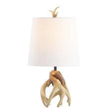 Load image into Gallery viewer, 19" Novelty Table Lamp LED With Globe Shade - Natural
