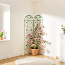 Load image into Gallery viewer, Metal Garden Trellis Rustproof Trellis For Climbing Plant Outdoor Flower Support
