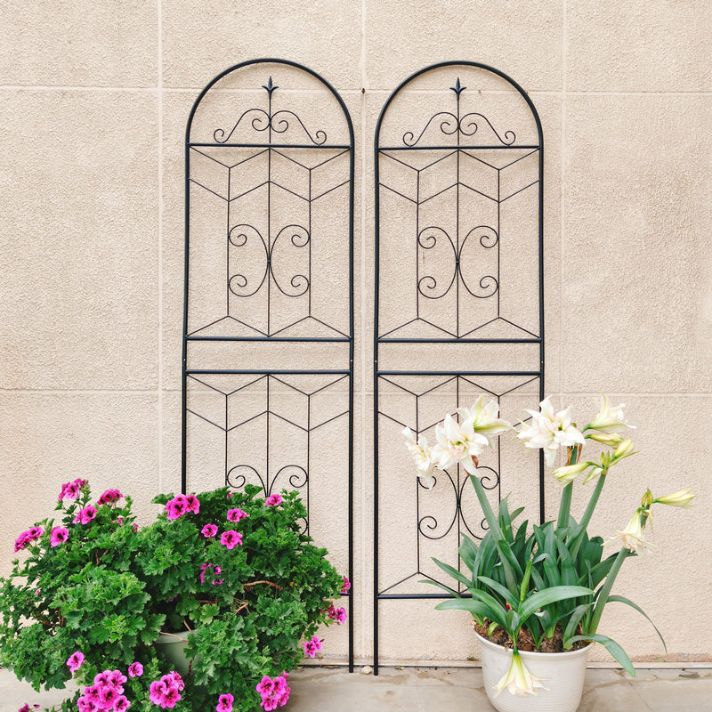 Garden Trellis, Rustproof Support For Climbing Plants