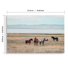 Load image into Gallery viewer, Horse Framed Wall Art Decor For Living Room - Denim / Brown
