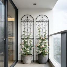 Load image into Gallery viewer, Garden Trellis, Rustproof Support For Climbing Plants
