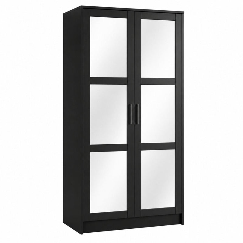 Solid Wood Mirrored Two Door Combo Dresser - Black