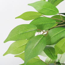 Load image into Gallery viewer, 6Ft Artificial Ficus Tree With Natural Trunk In Pot For Indoor Home Office Decor - Green Leaves
