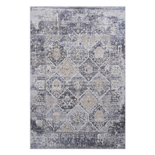 Load image into Gallery viewer, Payas - Traditional Area Rug
