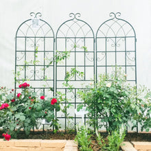 Load image into Gallery viewer, Metal Garden Rustproof Trellis For Climbing Plants Outdoor Flower Support

