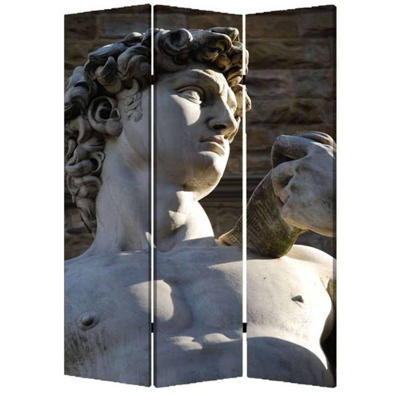 Wood Canvas Rome Screen - Multi Color