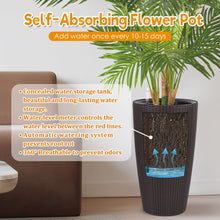 Load image into Gallery viewer, Tall Planters Set With Water Level Monitor And Auto Watering
