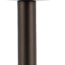 Load image into Gallery viewer, 12" Antiqued Bronze Novelty USB Table Lamp With Globe Shade
