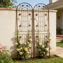 Load image into Gallery viewer, Metal Garden Trellis Rustproof Trellis For Climbing Plant Outdoor Flower Support
