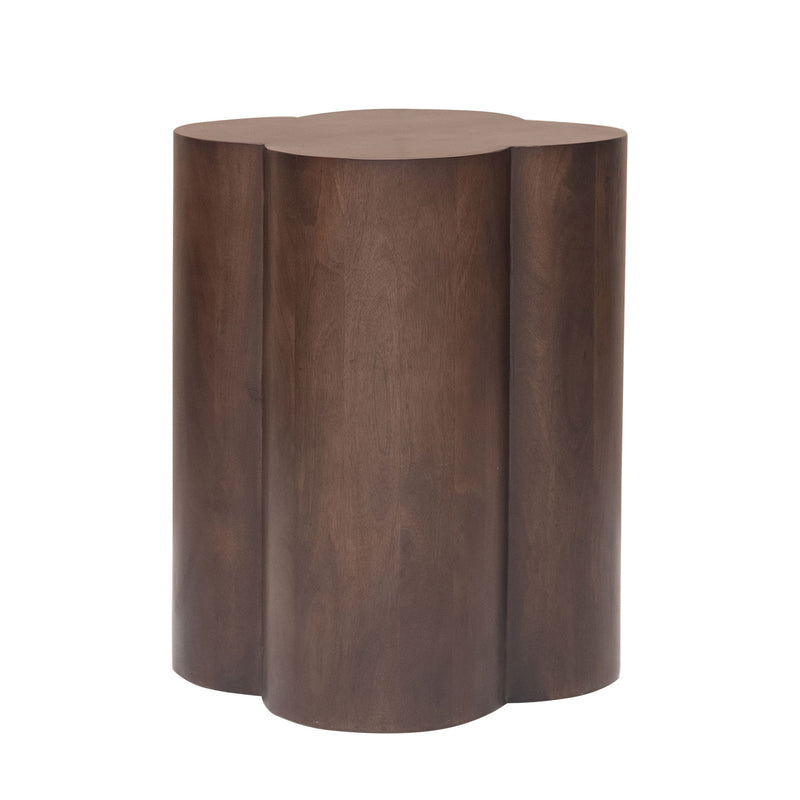 Solid Wood End Table (579295) - Brown