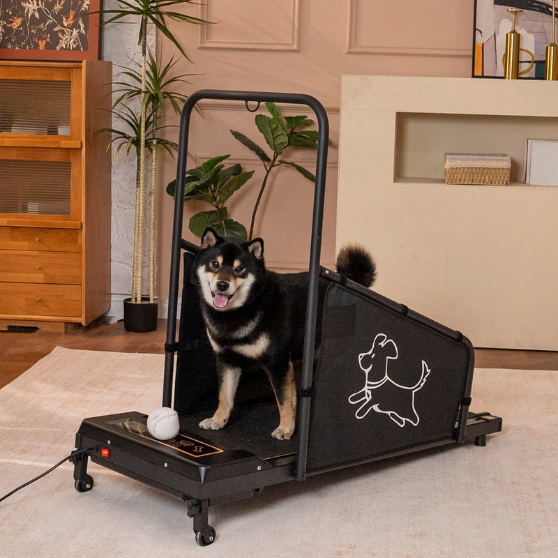 Dog Treadmill For Medium Dogs Running Machine With Non Slip Belt And Remote Control - Black