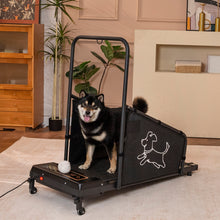 Load image into Gallery viewer, Dog Treadmill For Medium Dogs Running Machine With Non Slip Belt And Remote Control - Black
