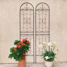 Load image into Gallery viewer, Garden Trellis, Rustproof Support For Climbing Plants

