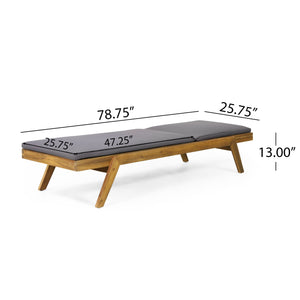 Nebulon - Outdoor Adjustable Chaise Lounge With Water Resistant Cushions (Set of 2)