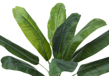 Load image into Gallery viewer, 43" Tall, Artificial Plant, Banana Tree, Indoor, Faux, Fake, Floor, Greenery, Potted, Real Touch, Decorative - Green / Black
