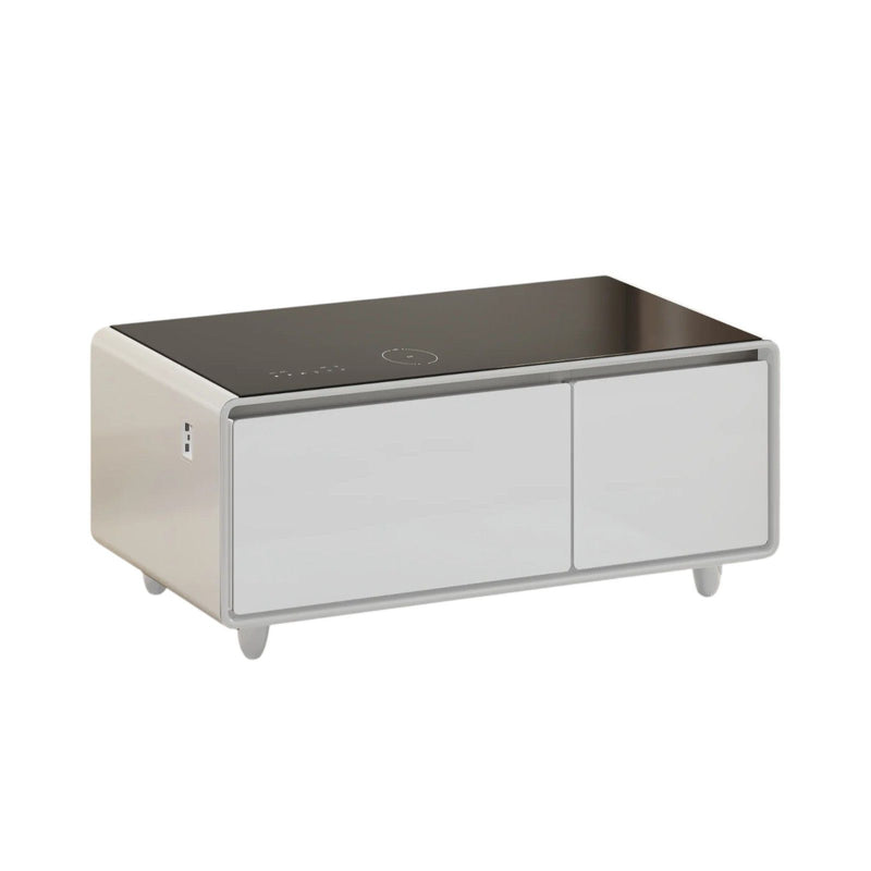 Glass Acrylic Solid Coffee Table With Two Drawers - Black / White