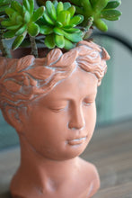Load image into Gallery viewer, D6X9" Visage Head Bust Planter - Brown
