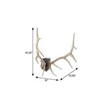 Load image into Gallery viewer, Decorative Wall Sculpture - Natural
