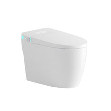 Load image into Gallery viewer, Tankless Smart Toilet With Bidet Built In, 1 Piece Bidet Toilet Seat, Auto Flush, Heated Seat, Warm Water And Dry, Adjustable Temp, Remote Control Side Know - White
