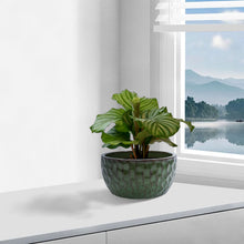 Load image into Gallery viewer, 3 Pieces Ceramic Flowerpot

