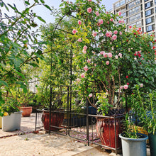 Load image into Gallery viewer, Metal Garden Arch With Gate High Climbing Plants Support Rose Arch Outdoor - Black
