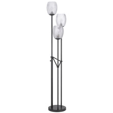 Load image into Gallery viewer, Three Light Traditional Shaped Floor Lamp With Clear Transparent Glass Novelty Shade - Black
