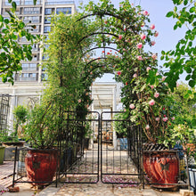 Load image into Gallery viewer, Metal Garden Arch With Gate High Climbing Plants Support Rose Arch Outdoor - Black
