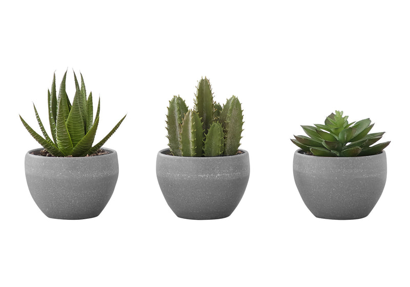Artificial Succulent Plants (Set of 3)