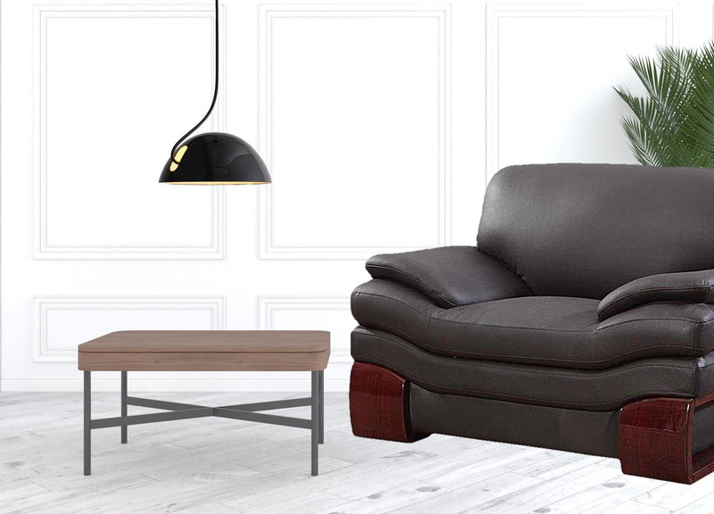 Leather Chair - Dazzling Brown