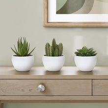 Load image into Gallery viewer, Artificial Succulent Plants (Set of 3)
