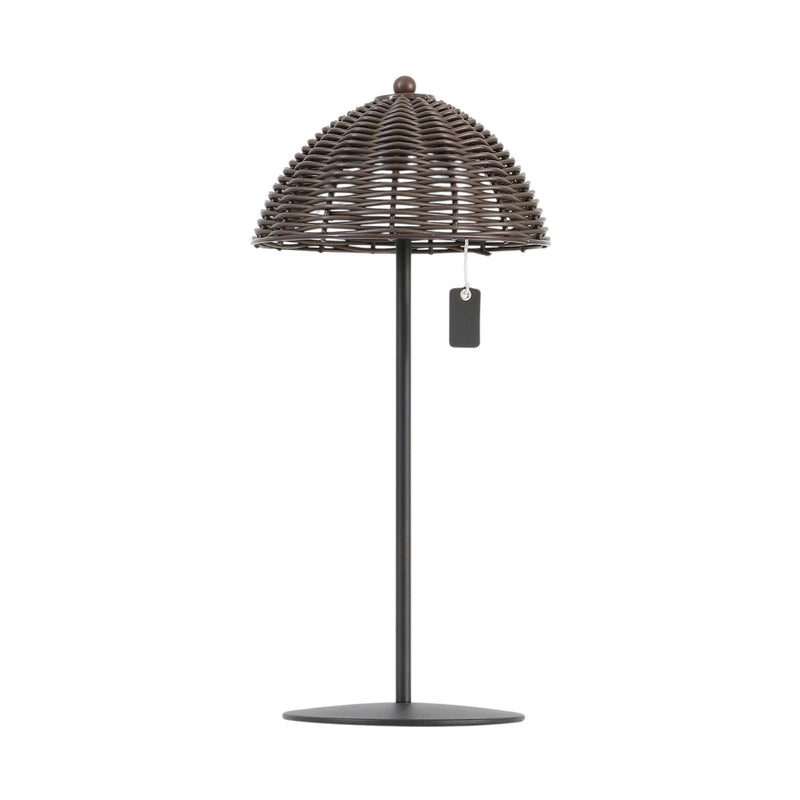 Novelty USB Table Lamps With Globe Shades (Set of 2) - Black