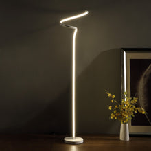 Load image into Gallery viewer, LED Novelty Curvy Spiral Floor Lamp - White
