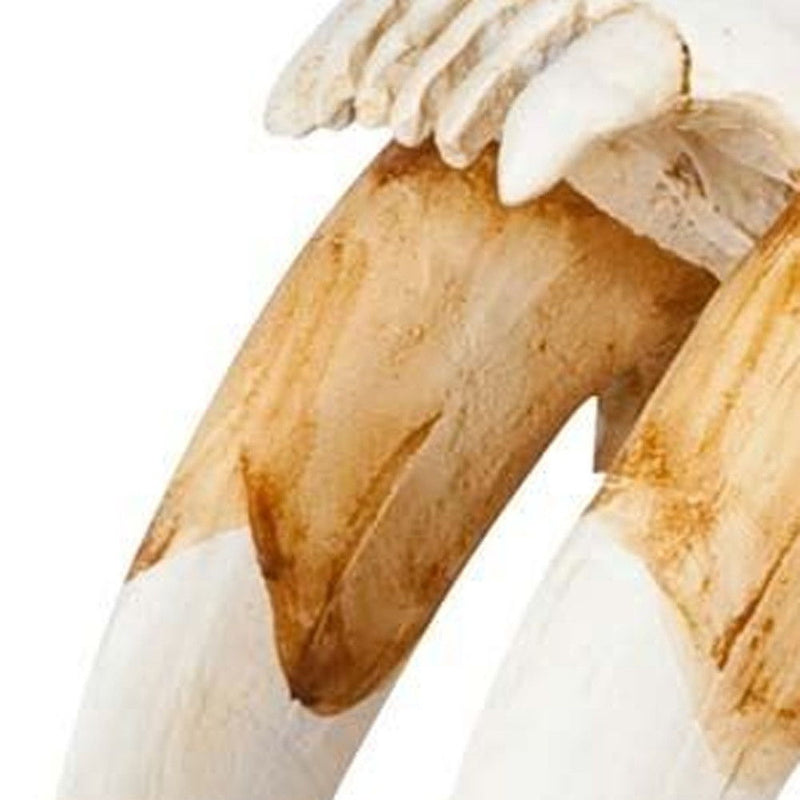 Authentic Replica Sabertooth Skull Sculpture - White