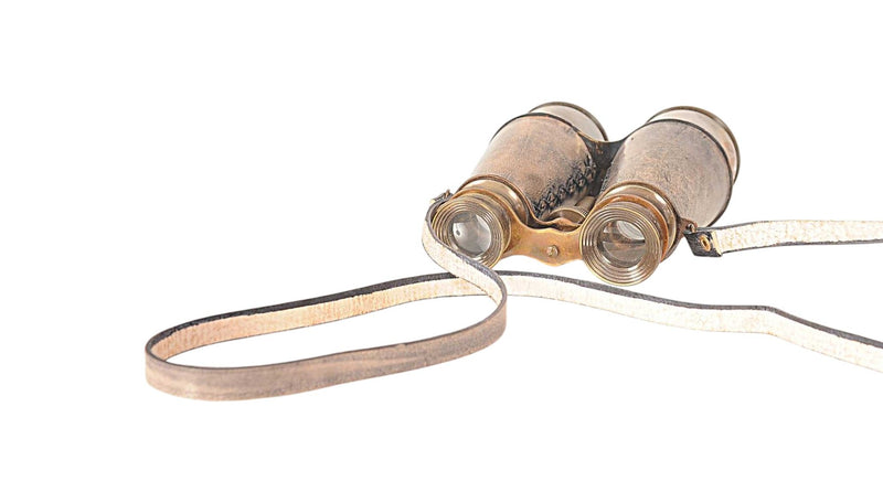 Leather Binoculars In Storage Box - Rust / Brass