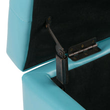 Load image into Gallery viewer, Cosmopolitan - Upholstered Storage Ottoman
