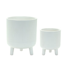 Load image into Gallery viewer, Striped Footed Pot Planters (Set of 2) - White
