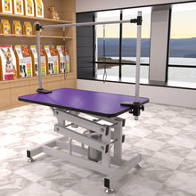 Load image into Gallery viewer, Hydraulic Pet Grooming Table With "H" Arm
