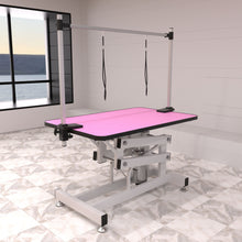 Load image into Gallery viewer, Hydraulic Pet Grooming Table With "H" Arm
