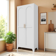 Load image into Gallery viewer, Shapely Doors Cabinet, Metal Storage Cabinet With Doors And Adjustable Shelves
