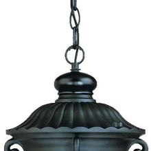 Load image into Gallery viewer, Naples 1-Light Hanging Light - Matte Black
